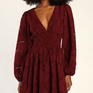Tomorrow and Always Burgundy Burnout Floral Mini Dress
